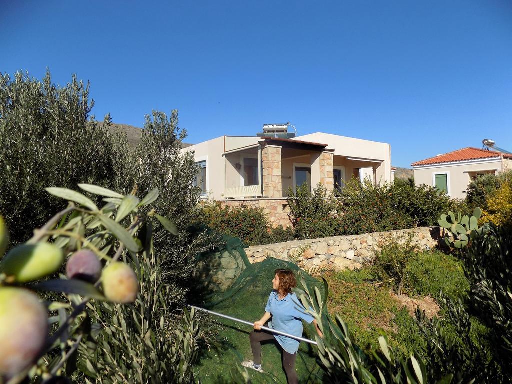 Alkionides Villas Ксерокампос Екстериор снимка